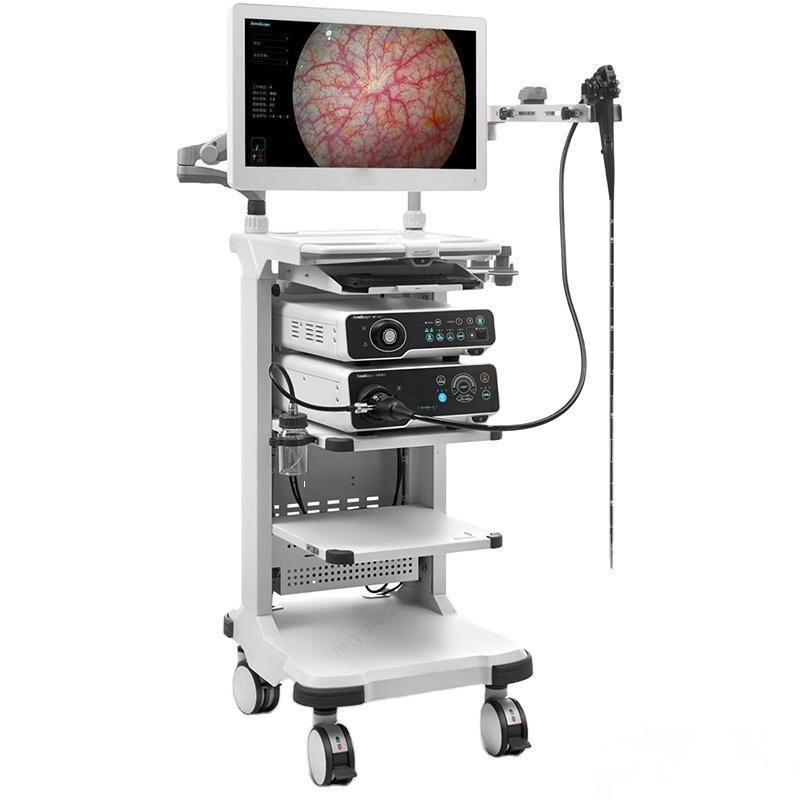 Endoscope Video System